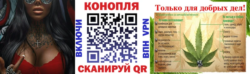 Каннабис сатива дарк нет как зайти Мураши